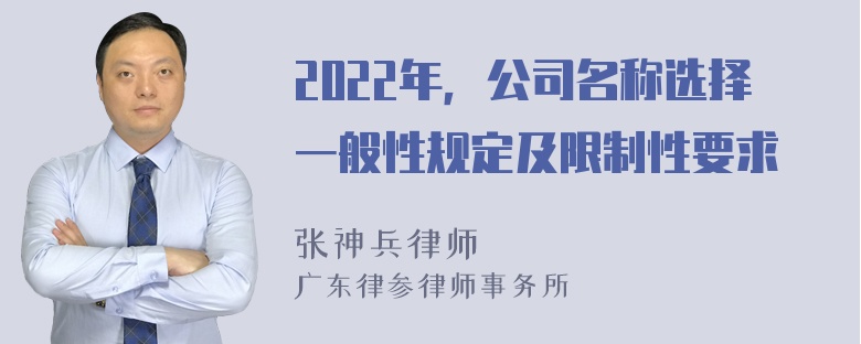 2022年，公司名称选择一般性规定及限制性要求