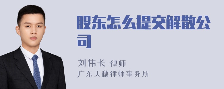 股东怎么提交解散公司