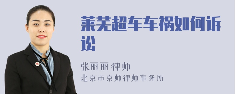 莱芜超车车祸如何诉讼