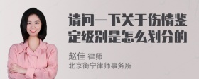 请问一下关于伤情鉴定级别是怎么划分的