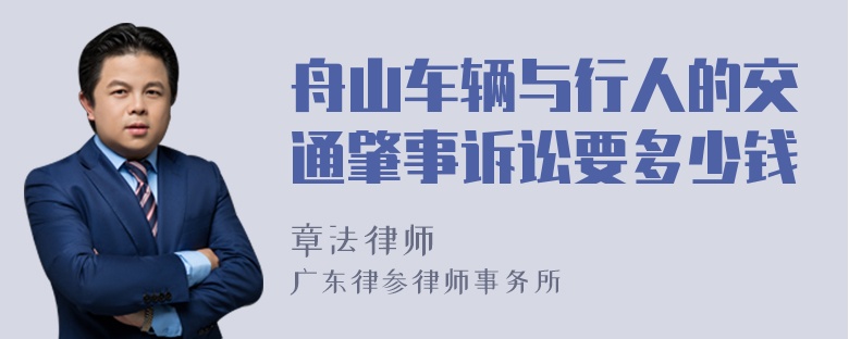 舟山车辆与行人的交通肇事诉讼要多少钱