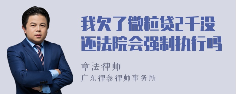 我欠了微粒贷2千没还法院会强制执行吗