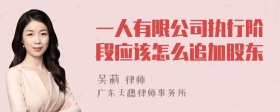 一人有限公司执行阶段应该怎么追加股东