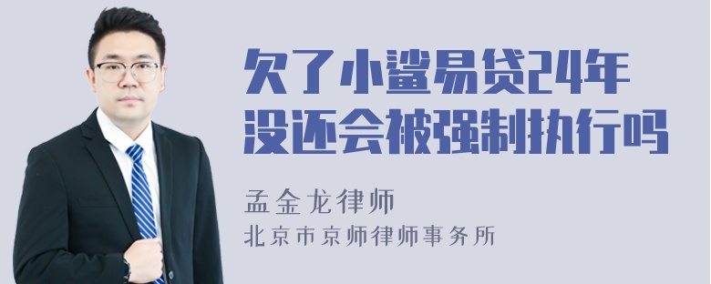 欠了小鲨易贷24年没还会被强制执行吗