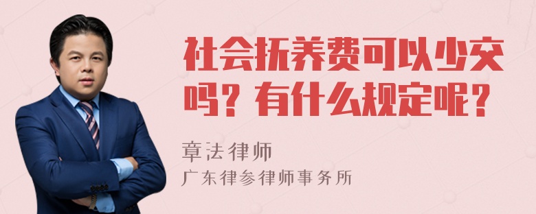 社会抚养费可以少交吗？有什么规定呢？