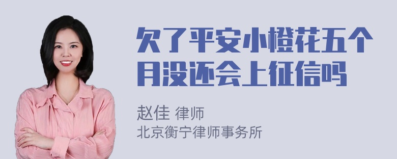 欠了平安小橙花五个月没还会上征信吗