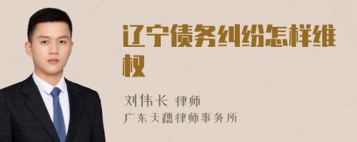辽宁债务纠纷怎样维权