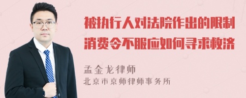 被执行人对法院作出的限制消费令不服应如何寻求救济