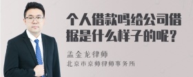 个人借款吗给公司借据是什么样子的呢？