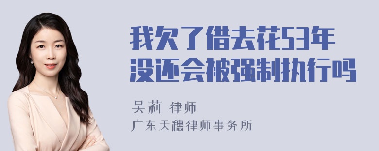 我欠了借去花53年没还会被强制执行吗