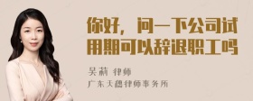 你好，问一下公司试用期可以辞退职工吗