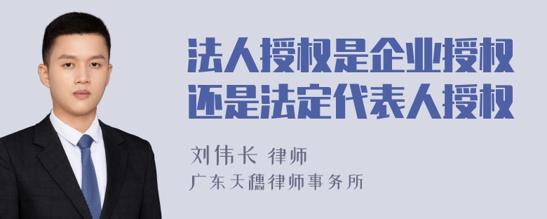 法人授权是企业授权还是法定代表人授权