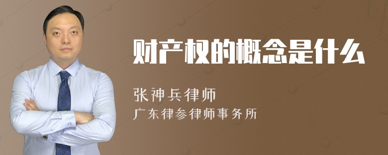 财产权的概念是什么