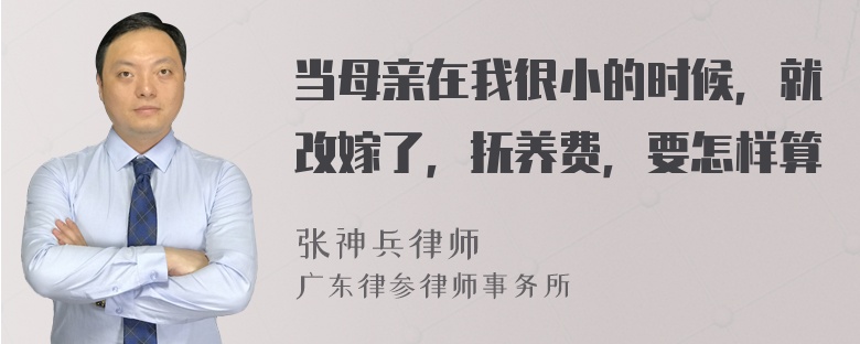 当母亲在我很小的时候，就改嫁了，抚养费，要怎样算