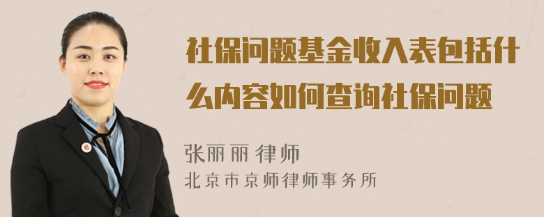 社保问题基金收入表包括什么内容如何查询社保问题