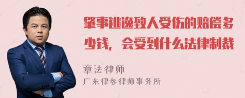 肇事逃逸致人受伤的赔偿多少钱，会受到什么法律制裁