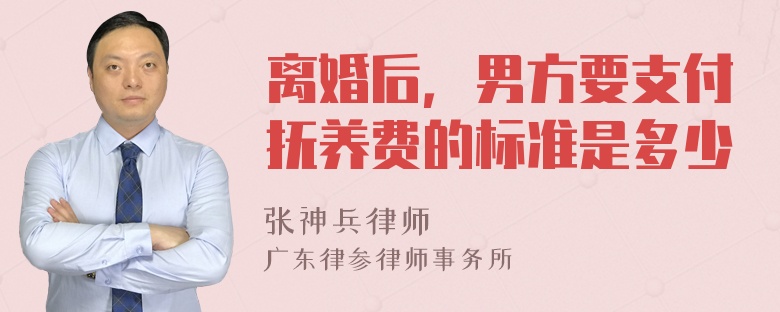 离婚后，男方要支付抚养费的标准是多少