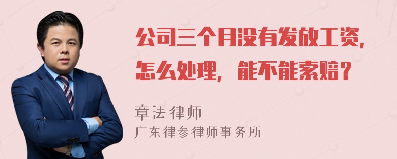 公司三个月没有发放工资，怎么处理，能不能索赔？