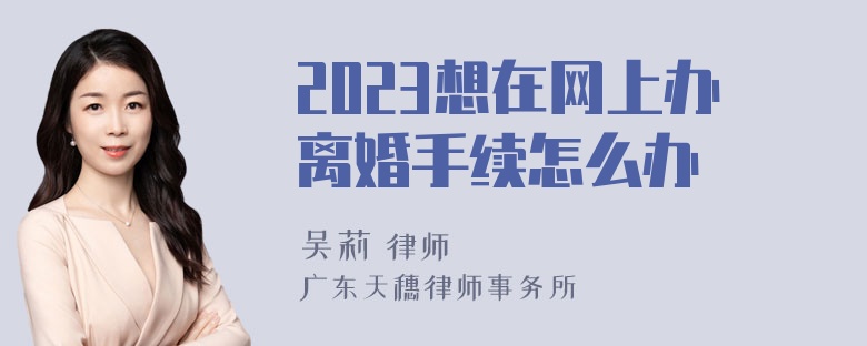 2023想在网上办离婚手续怎么办