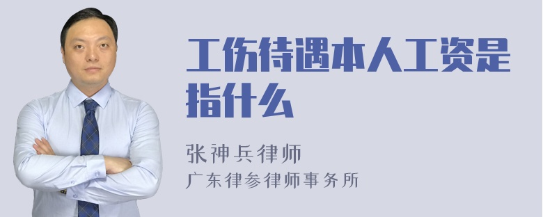 工伤待遇本人工资是指什么