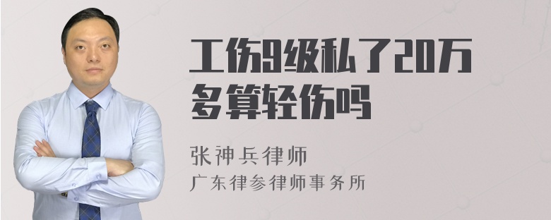 工伤9级私了20万多算轻伤吗