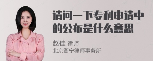 请问一下专利申请中的公布是什么意思