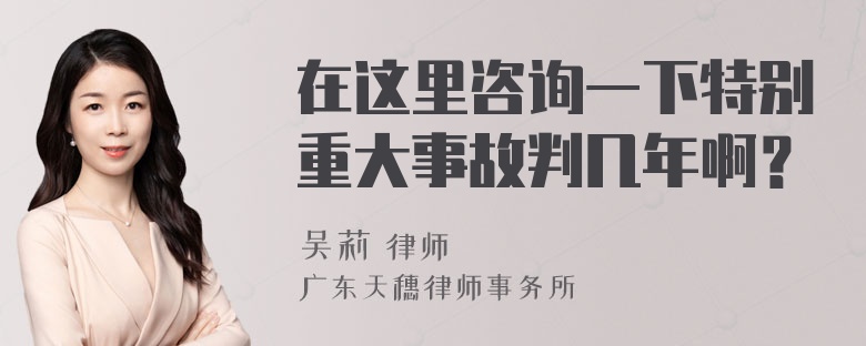 在这里咨询一下特别重大事故判几年啊？