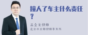 撞人了车主什么责任？