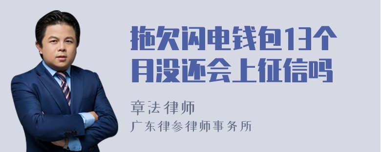 拖欠闪电钱包13个月没还会上征信吗