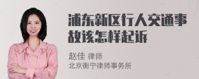 浦东新区行人交通事故该怎样起诉