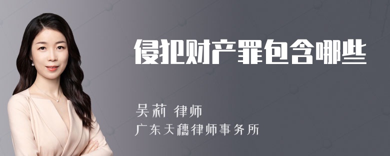 侵犯财产罪包含哪些