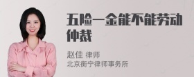 五险一金能不能劳动仲裁