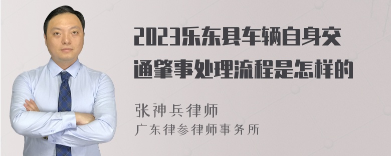 2023乐东县车辆自身交通肇事处理流程是怎样的