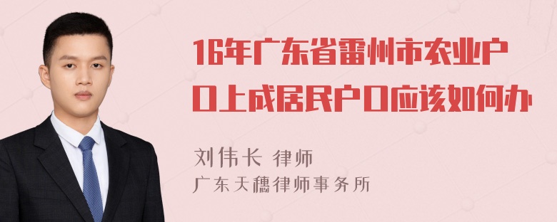 16年广东省雷州市农业户口上成居民户口应该如何办