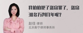 我伯伯犯了盗窃罪了，盗窃30多万判几年呢？