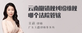 云南撤销权纠纷维权哪个法院管辖