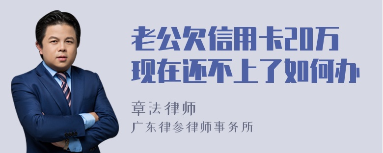 老公欠信用卡20万现在还不上了如何办