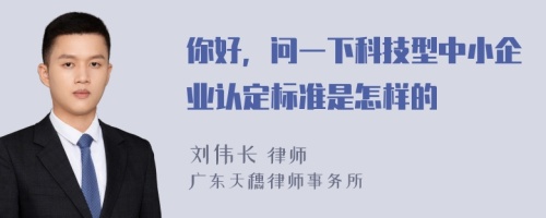 你好，问一下科技型中小企业认定标准是怎样的