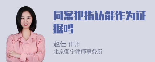 同案犯指认能作为证据吗