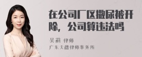 在公司厂区撒尿被开除，公司算违法吗