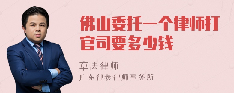 佛山委托一个律师打官司要多少钱