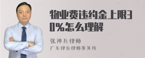 物业费违约金上限30％怎么理解