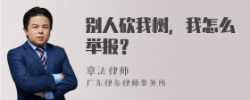 别人砍我树，我怎么举报？