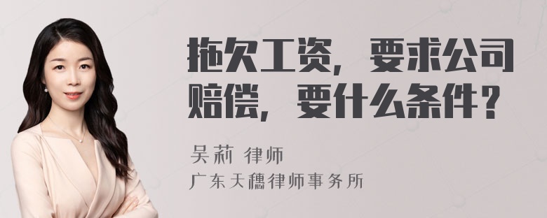 拖欠工资，要求公司赔偿，要什么条件？