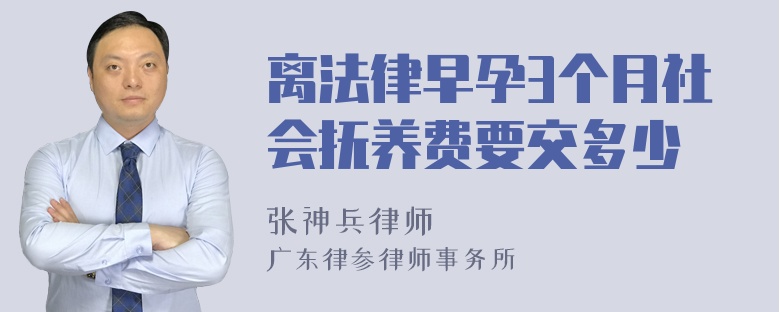 离法律早孕3个月社会抚养费要交多少