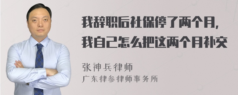 我辞职后社保停了两个月，我自己怎么把这两个月补交