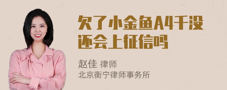 欠了小金鱼A4千没还会上征信吗