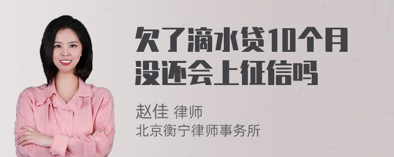 欠了滴水贷10个月没还会上征信吗