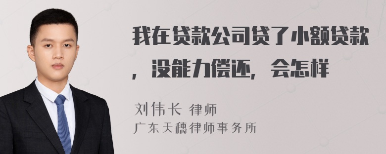 我在贷款公司贷了小额贷款，没能力偿还，会怎样