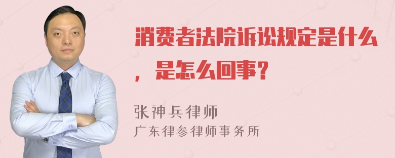 消费者法院诉讼规定是什么，是怎么回事？